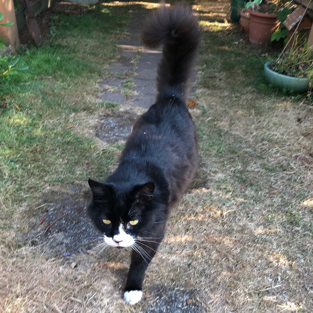 Meet your Posher, Danica